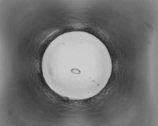 X0000113101205200909251024