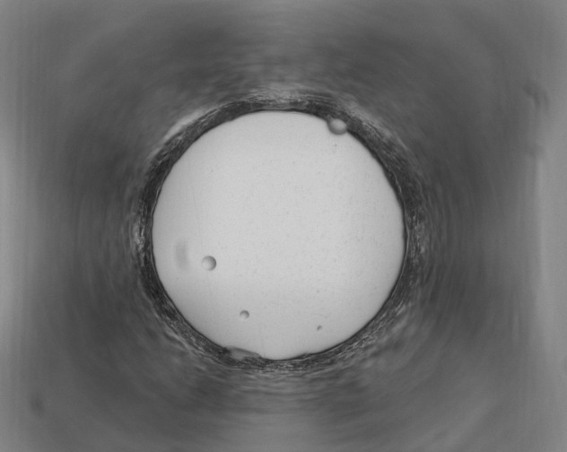 X0000113101206200909251024