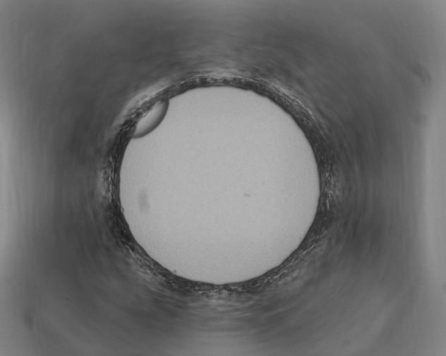 X0000113101207200909251024