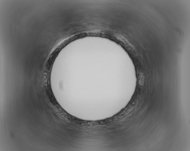 X0000113101208200909251024