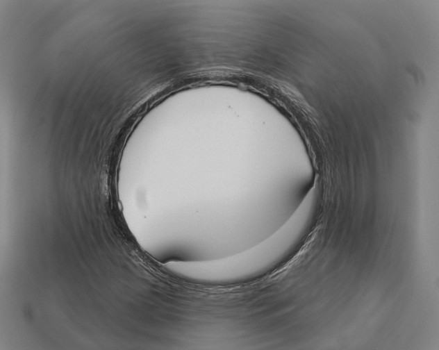 X0000113101209200909251024