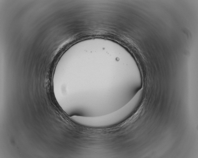 X0000113101210200909251024
