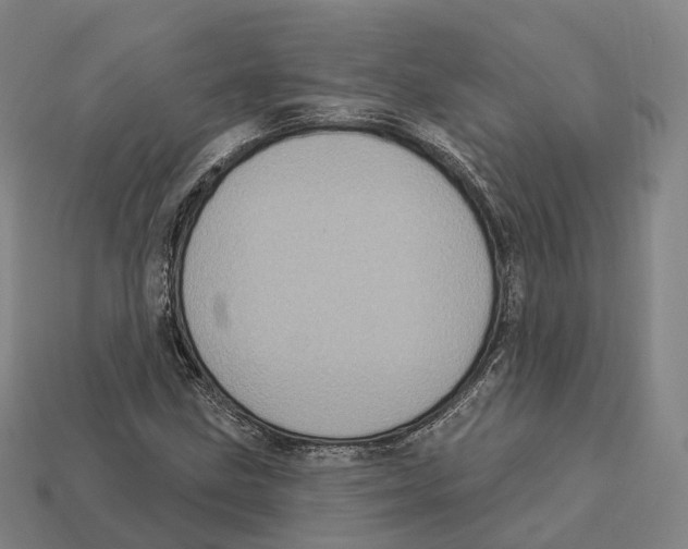 X0000113101211200909251024