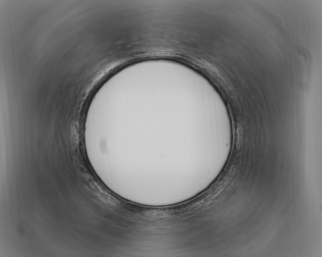 X0000113101212200909251024