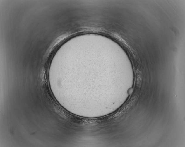 X0000113101215200909251024