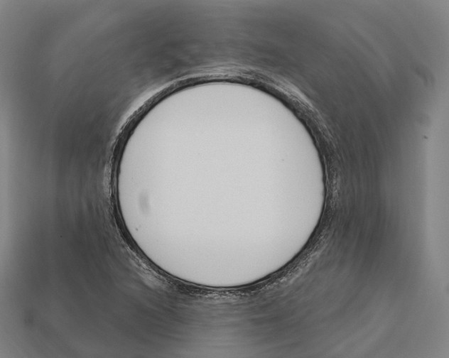 X0000113101216200909251024