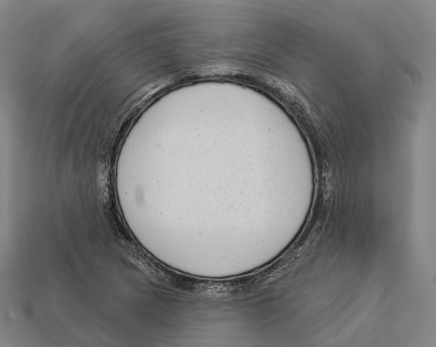 X0000113101217200909251024