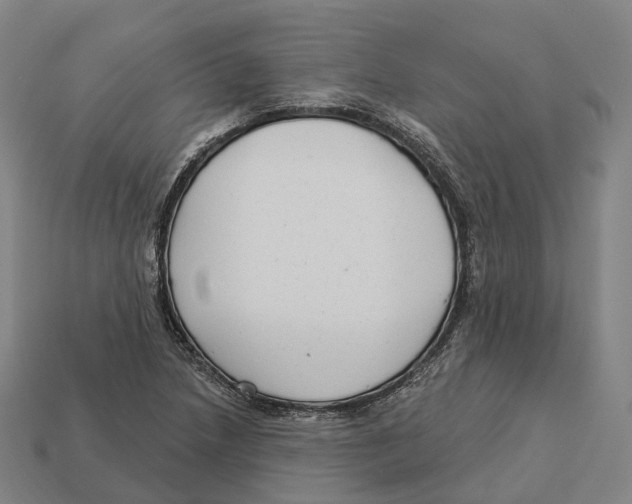 X0000113101218200909251024