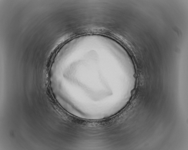 X0000113101219200909251024