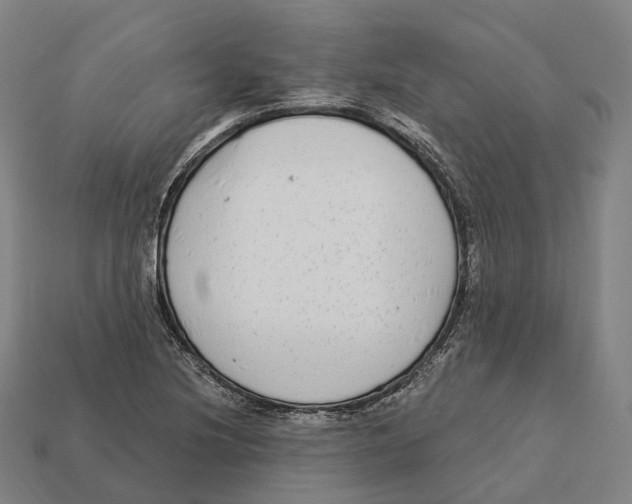 X0000113101220200909251024