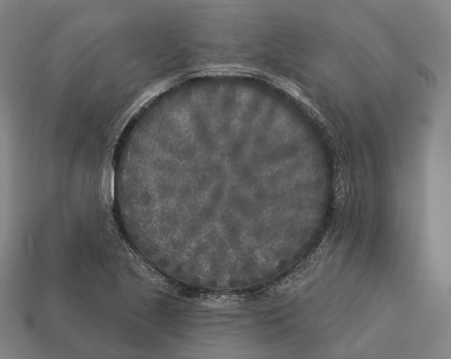 X0000113101221200909251024