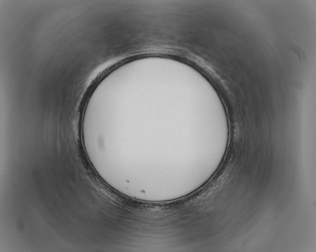 X0000113101222200909251024
