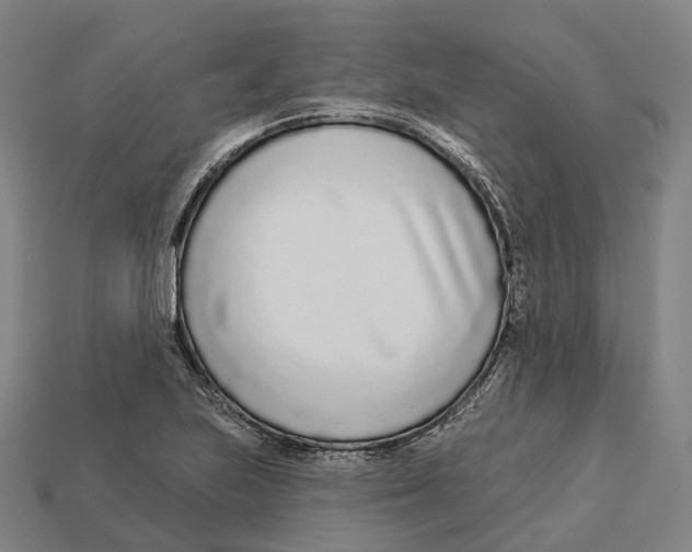 X0000113101223200909251024