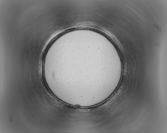 X0000113101224200909251024