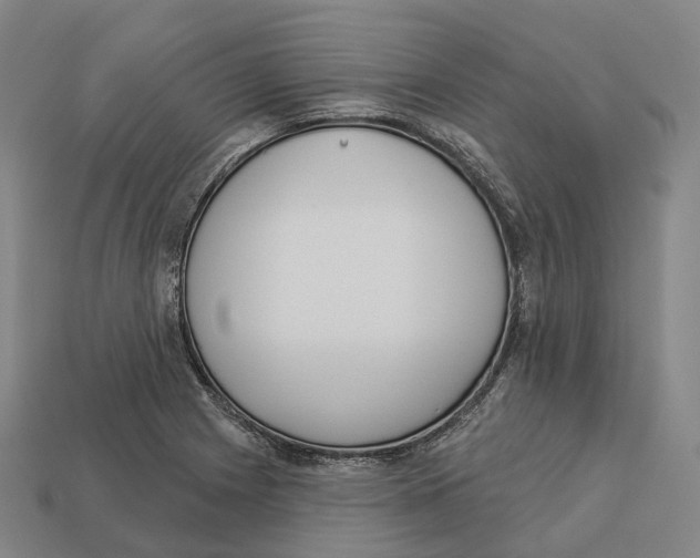 X0000113101225200909251024