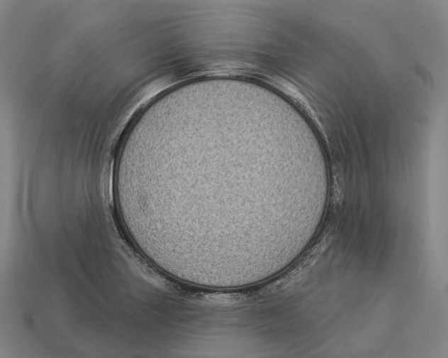 X0000113101227200909251024