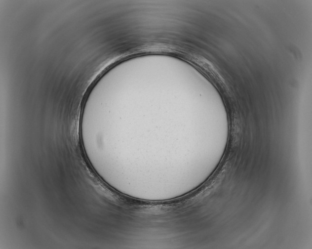 X0000113101228200909251024