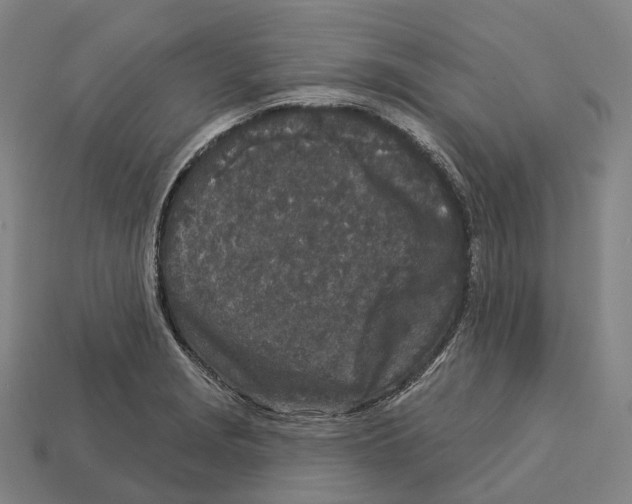 X0000113101229200909251024