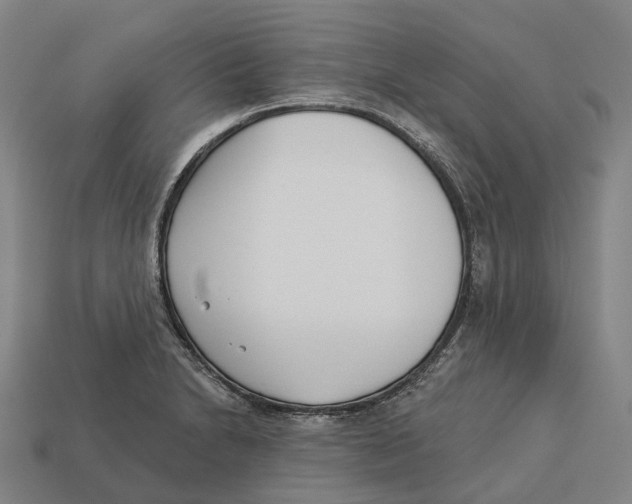 X0000113101230200909251025