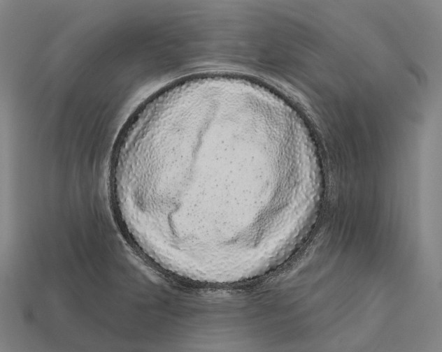 X0000113101231200909251025