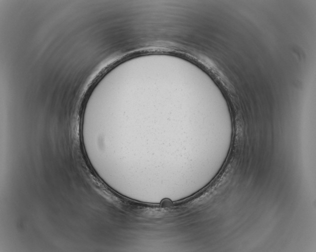 X0000113101232200909251025