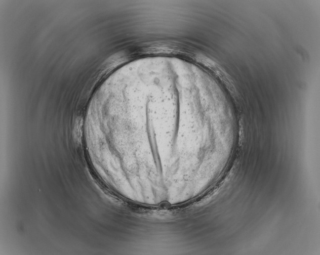 X0000113101233200909251025