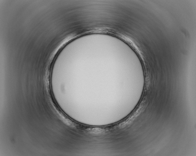 X0000113101235200909251025