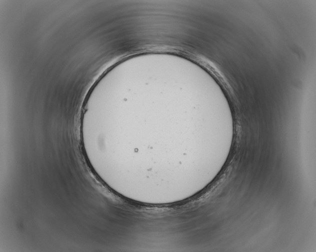 X0000113101236200909251025