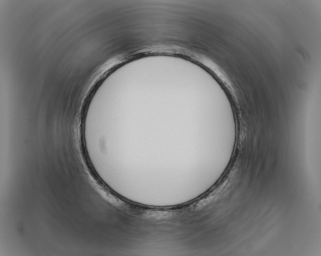 X0000113101237200909251025