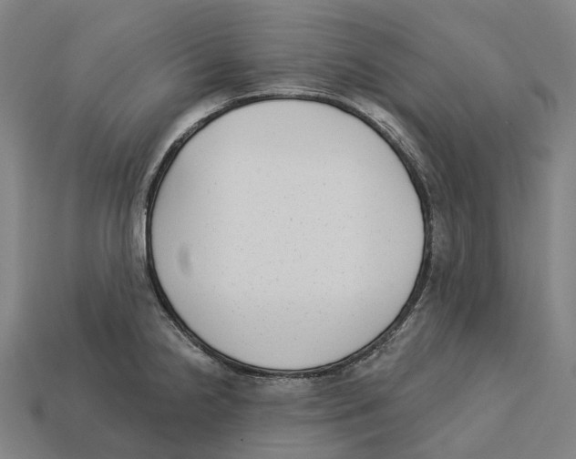 X0000113101238200909251025