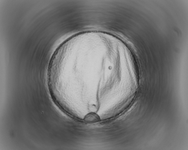 X0000113101239200909251025