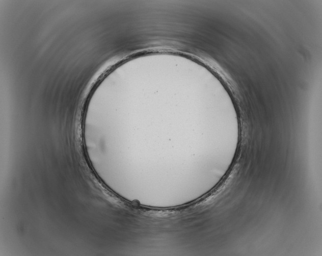 X0000113101240200909251025
