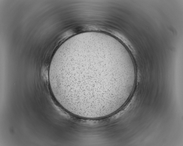 X0000113101241200909251025