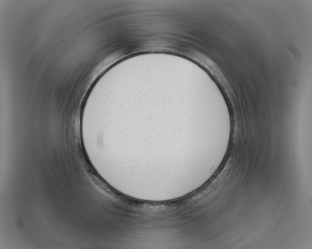X0000113101242200909251025