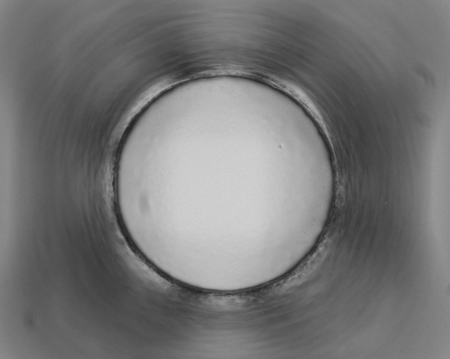 X0000113101243200909251025