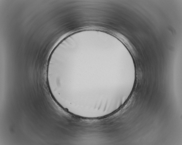 X0000113101244200909251025