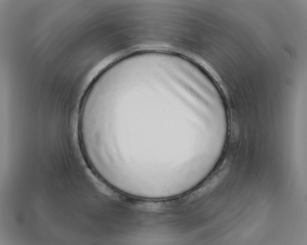 X0000113101245200909251025