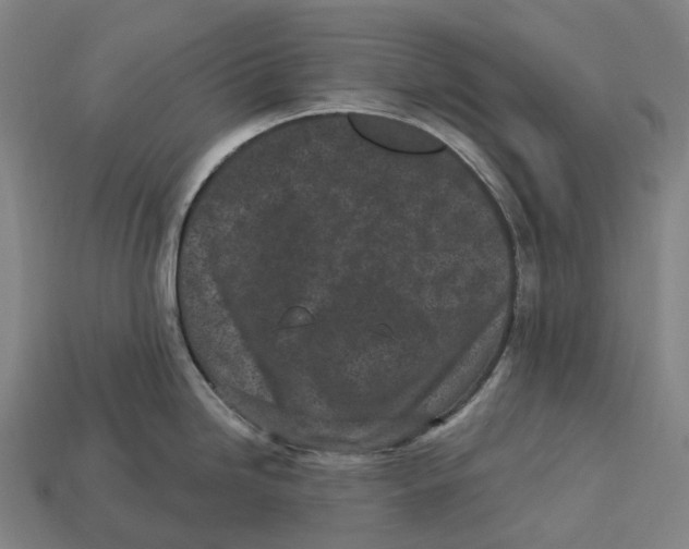 X0000113101246200909251025
