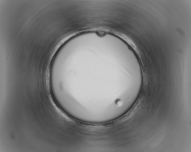 X0000113101247200909251025