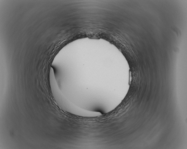 X0000113101249200909251024