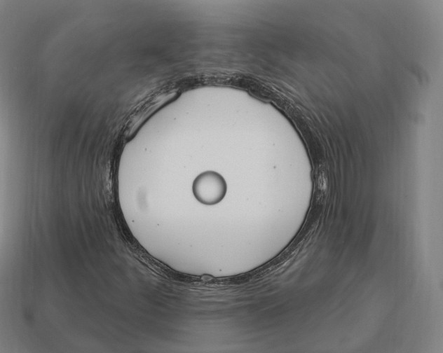 X0000113101252200909251024