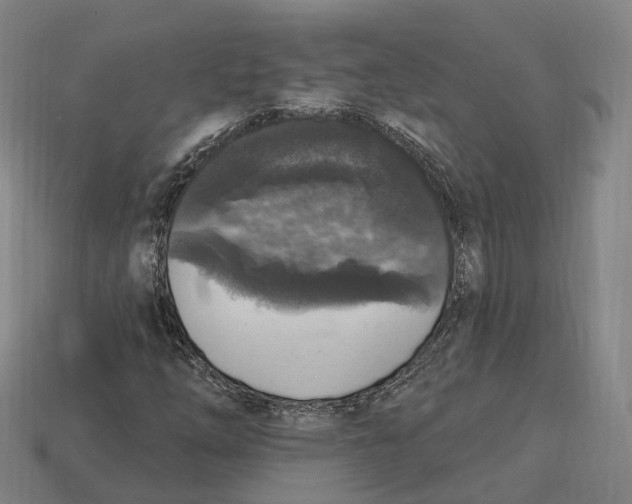 X0000113101254200909251024