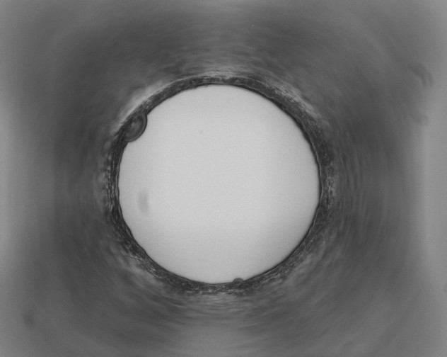 X0000113101256200909251024