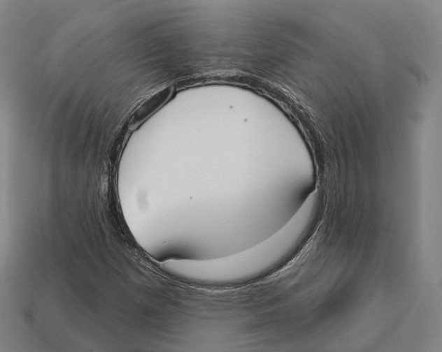 X0000113101257200909251024