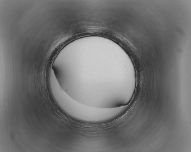 X0000113101261200909251024