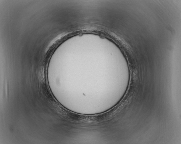 X0000113101262200909251024