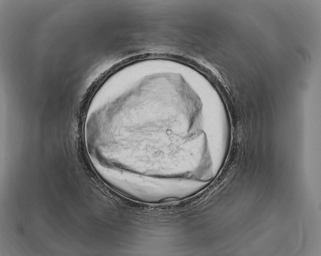 X0000113101263200909251024