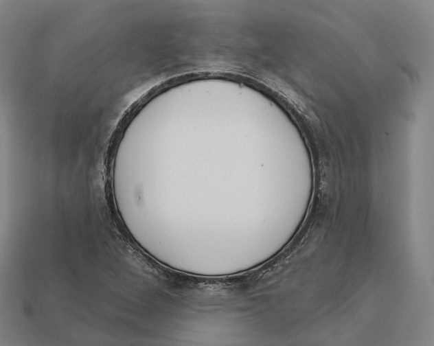 X0000113101264200909251024