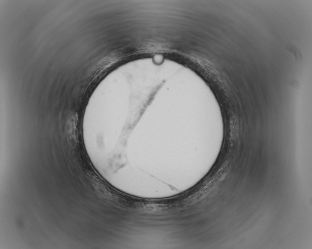 X0000113101265200909251024