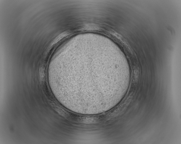 X0000113101266200909251024